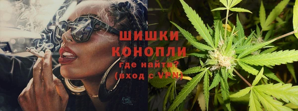 гидра Мурманск