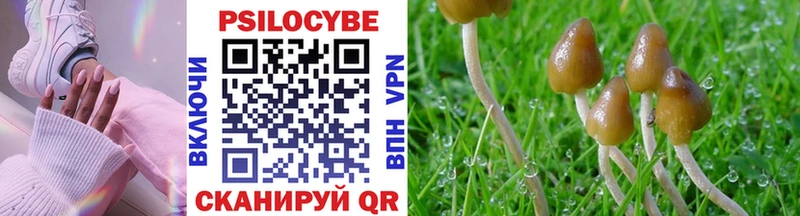 Купить  Дедовск  Галлюциногенные грибы мицелий 
